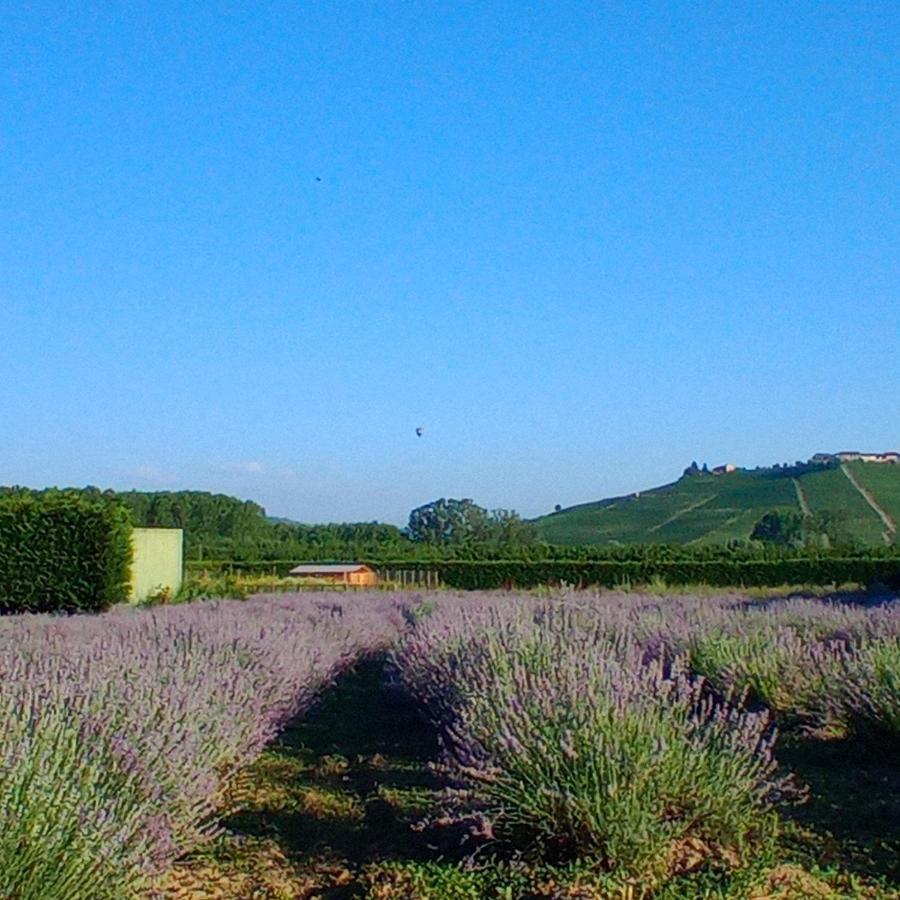 La Cascina Di Carlotta 1846 Agriturismo 阿尔巴 外观 照片