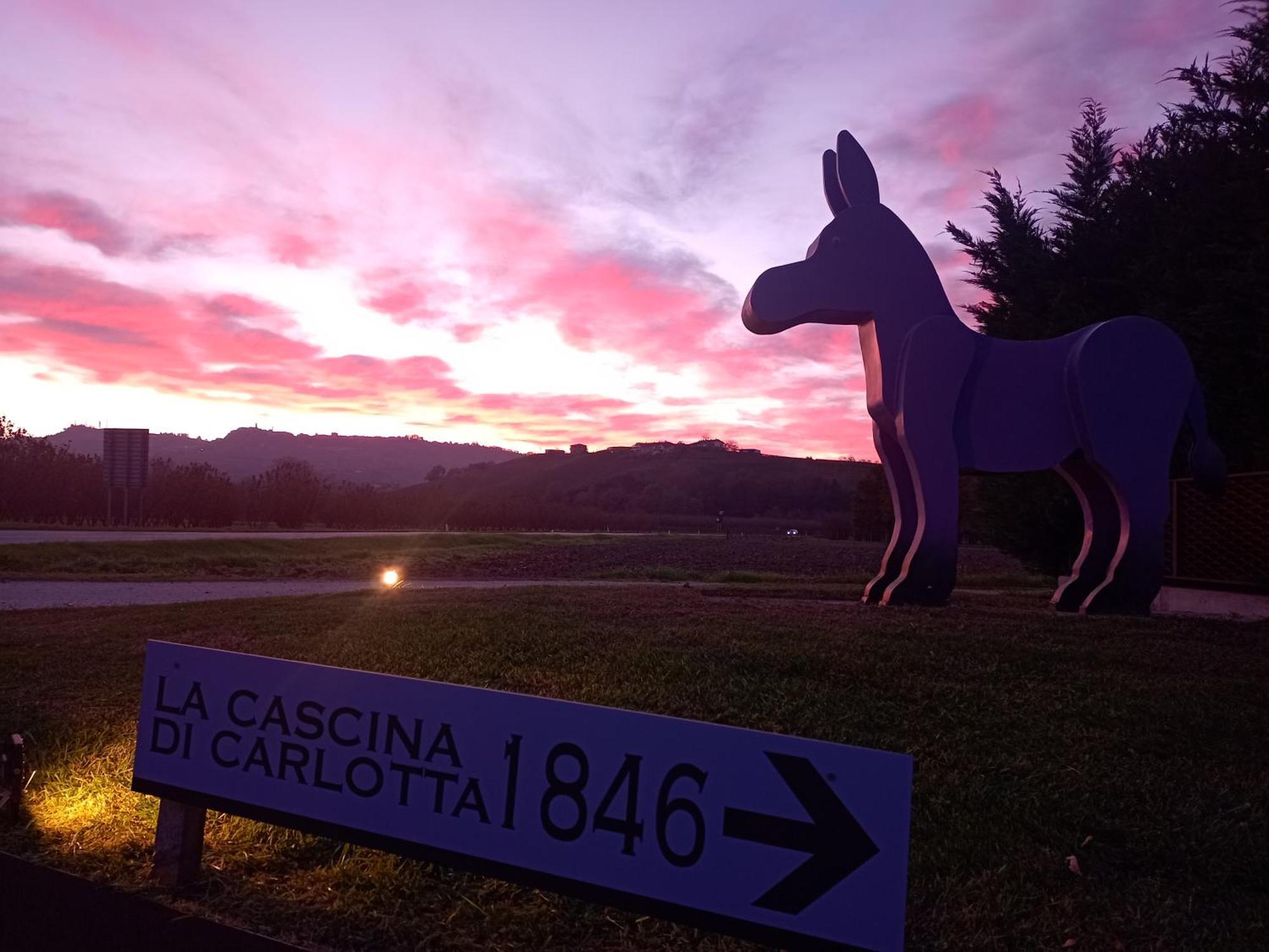 La Cascina Di Carlotta 1846 Agriturismo 阿尔巴 外观 照片